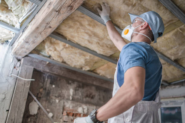 Best Insulation Maintenance and Repair in Helena, AL